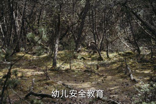 幼儿安全教育