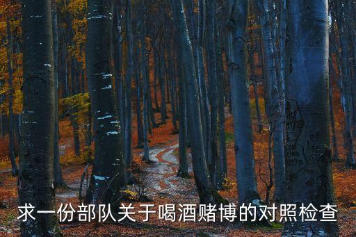 求一份部队关于喝酒赌博的对照检查