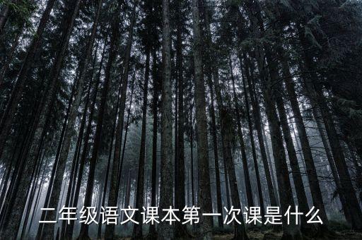 二年级语文课本第一次课是什么