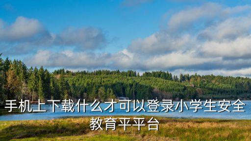 手机上下载什么才可以登录小学生安全教育平平台