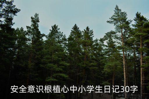 安全感悟30字左右，小学生安全故事读后感30个字
