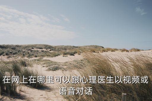 在网上在哪里可以跟心理医生以视频或语音对话