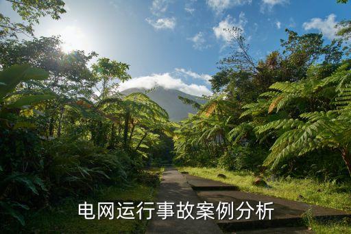 电网运行事故案例分析