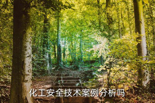 化工安全技术案例分析吗