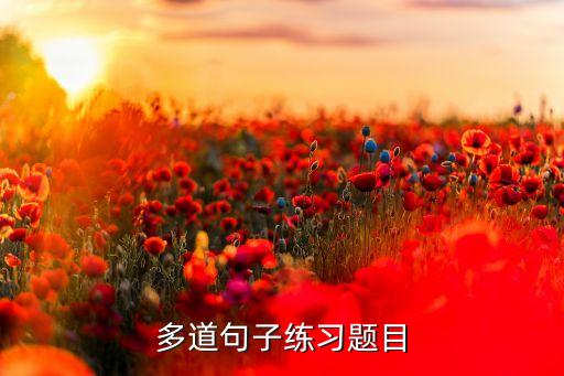 多道句子练习题目