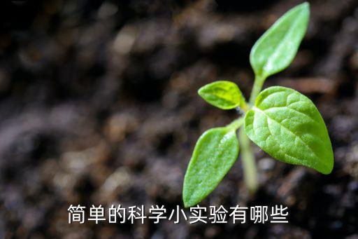 幼儿园100个科学小实验，幼儿简单的科学小试验