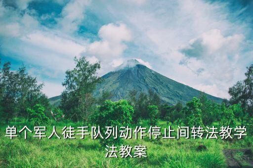 单个军人徒手队列动作停止间转法教学法教案