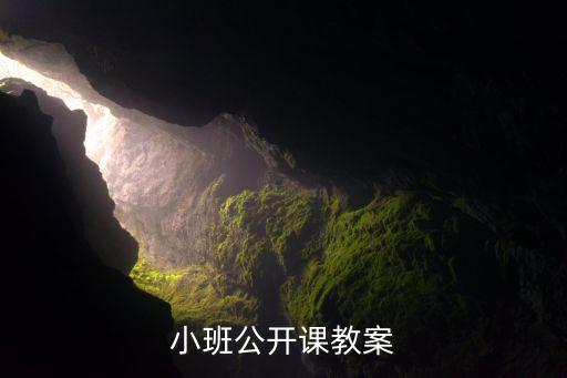 小班公开课教案