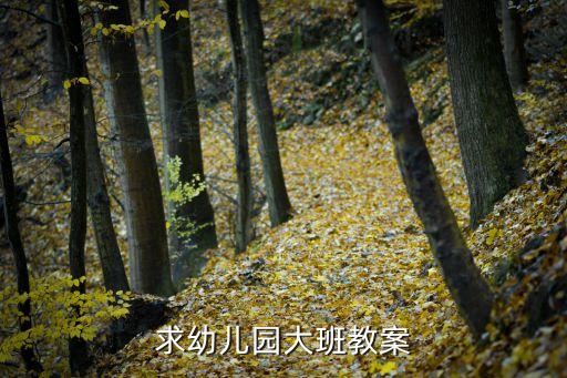 求幼儿园大班教案