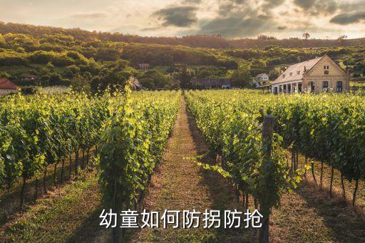 幼童如何防拐防抢