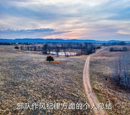 部队作风纪律方面的个人总结