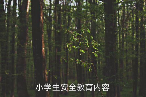 小学生安全教育内容
