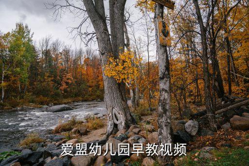爱盟幼儿园早教视频