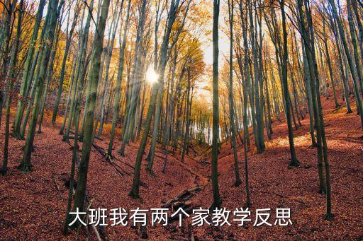 大班教育反思短篇50字，大班我有两个家教学反思