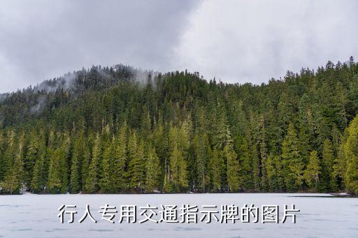 行人专用交通指示牌的图片