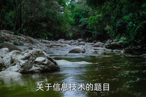 关于信息技术的题目