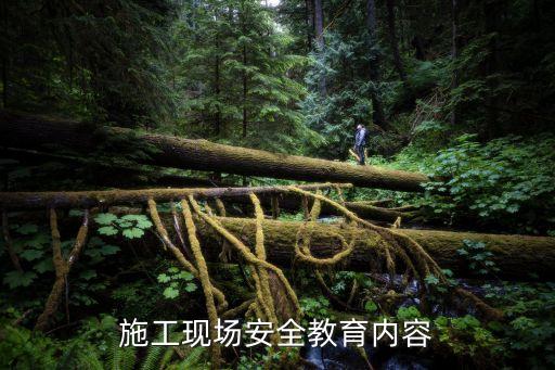 施工现场安全教育内容