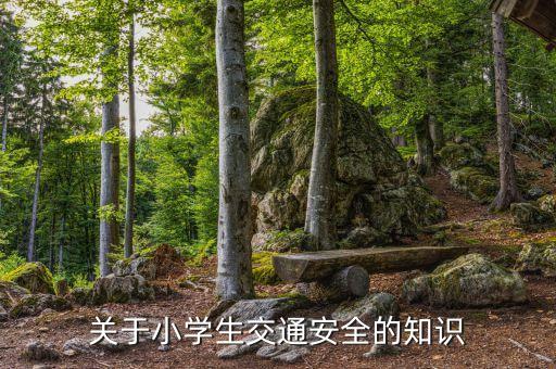 小学生交通安全宣传内容，小学生交通安全常识简短
