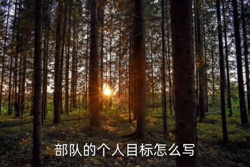部队的个人目标怎么写