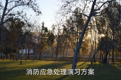 消防应急处理演习方案