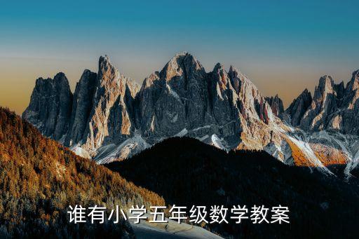 谁有小学五年级数学教案