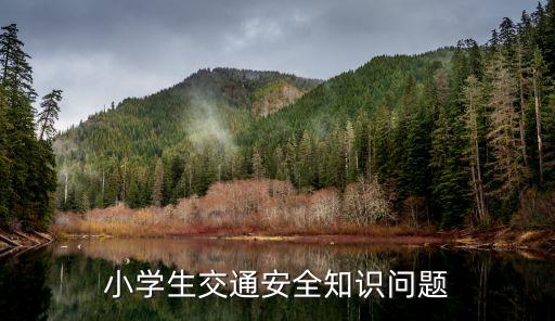 小学生交通安全知识问题