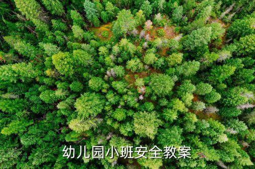 小班安全教案20篇简单一点，幼儿园小班安全教案