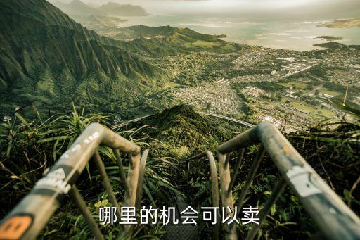 哪里的机会可以卖