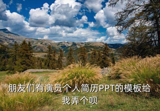 朋友们有演员个人简历PPT的模板给我弄个呗