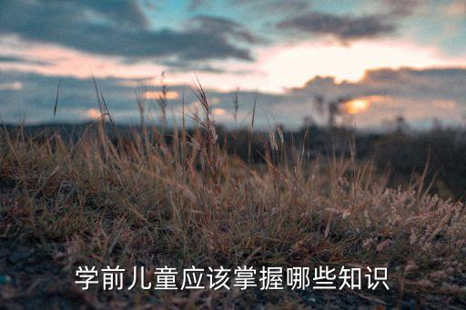 学前儿童应该掌握哪些知识