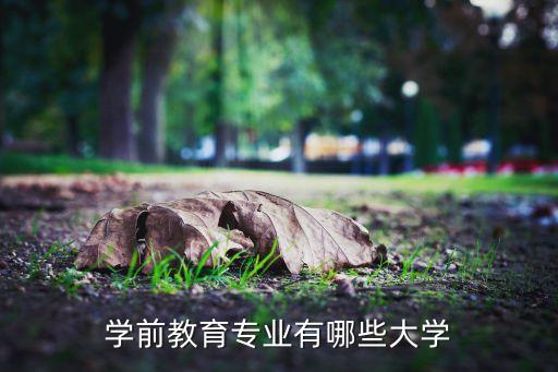 学前教育专业有哪些大学