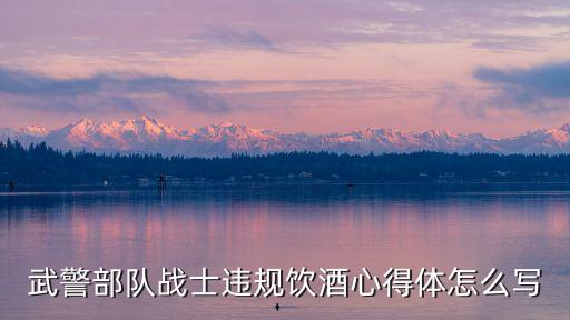 武警部队战士违规饮酒心得体怎么写