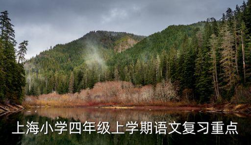 上海小学四年级上学期语文复习重点