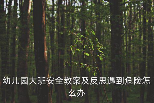 小学安全教育教案大班40篇，大班安全教案都有哪些