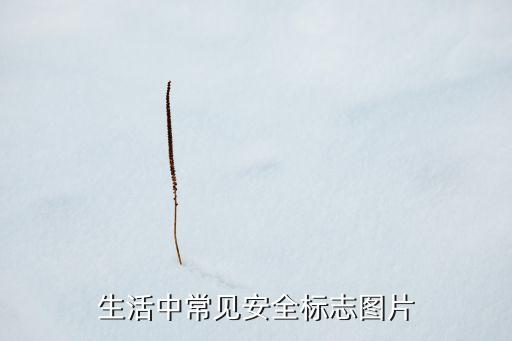 生活中常见安全标志图片