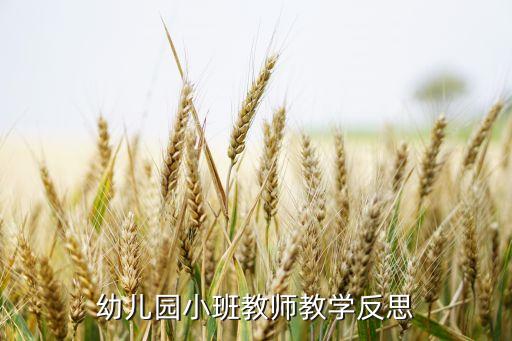 幼儿园小班教师教学反思