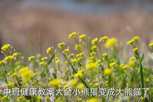中班健康教案大全小熊猫变成大熊猫了