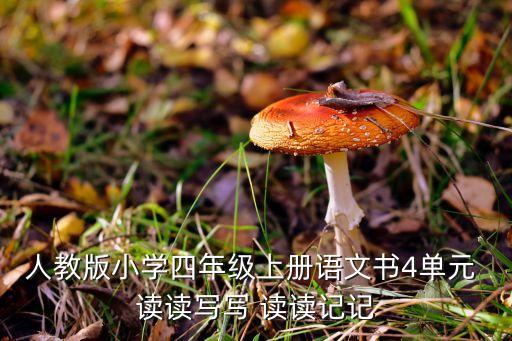 人教版小学四年级上册语文书4单元 读读写写 读读记记
