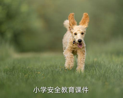 防拐安全教育ppt教案免费，小学安全教育课件