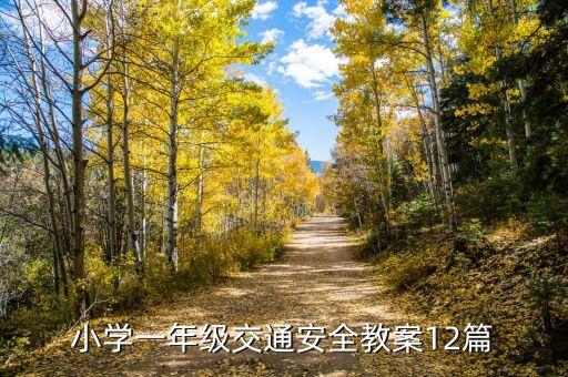 小学一年级交通安全教案12篇