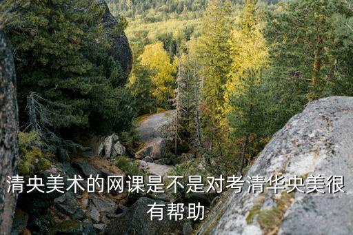 清央美术的网课是不是对考清华央美很有帮助