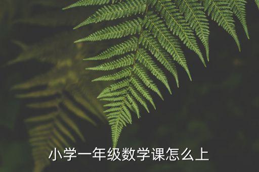 小学一年级数学上册，小学一年级数学课怎么上