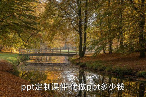 ppt定制课件 代做ppt多少钱