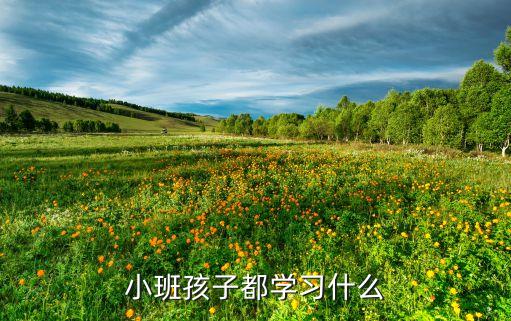 小班孩子都学习什么