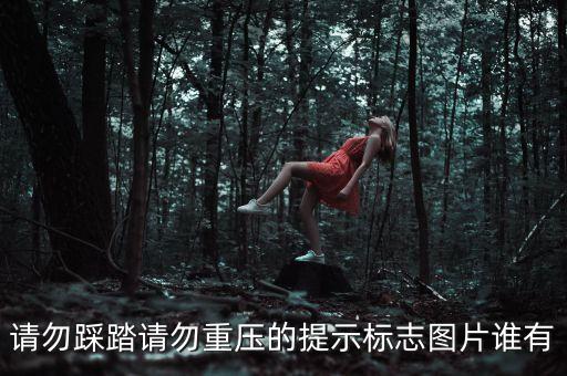请勿踩踏请勿重压的提示标志图片谁有