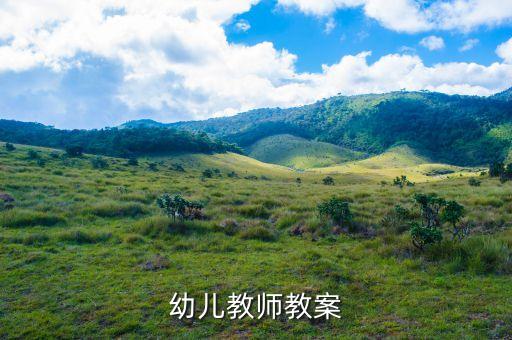 幼儿教师教案