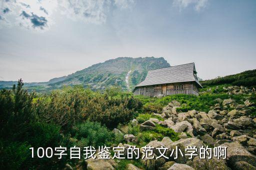 100字自我鉴定的范文小学的啊