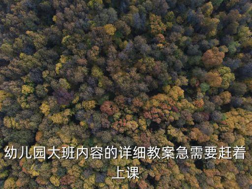 幼儿园大班内容的详细教案急需要赶着上课