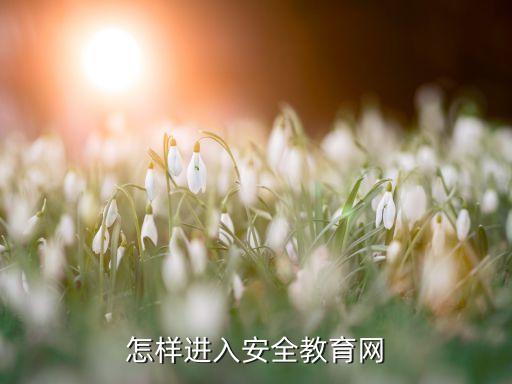 怎样进入安全教育网