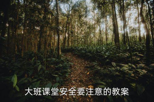 大班课堂安全要注意的教案